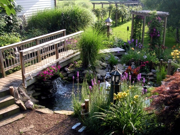 Creating a garden pond - the heart of an attractive water garden