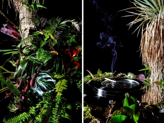 Design Ashtray resemble vivid sculptures of plants