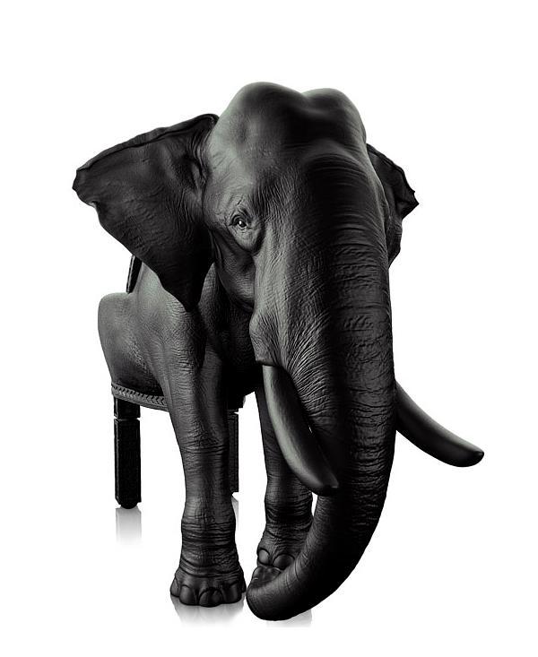 Elephant Chair - extravagant designer chair by Maximo Riera