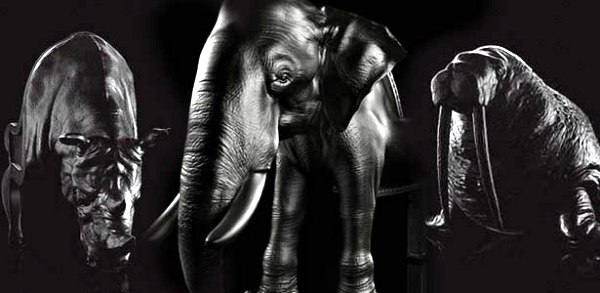 Elephant Chair - extravagant designer chair by Maximo Riera