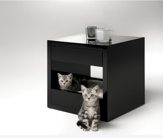 Ensure comfort for the four-legged friend - furniture for pets