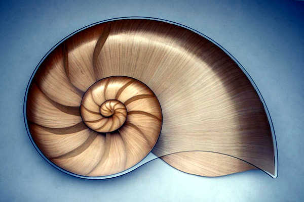 Exclusive table design in the form of a nautilus by Marc Fish