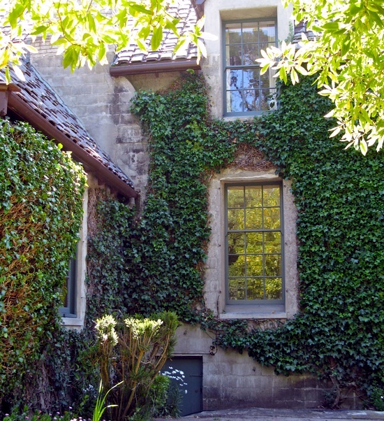 Facade with ivy Greening - Instructions for evergreen facade decoration