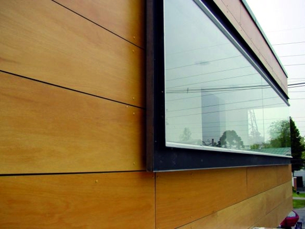Facades insulation and renovation advantages of wood paneling