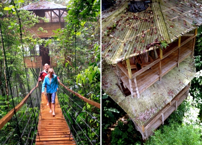 Finca Bellavista, Costa Rica offers accommodation in tree house