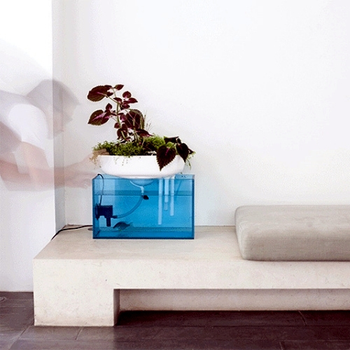 Floating mini garden serves as a natural filter for the aquarium