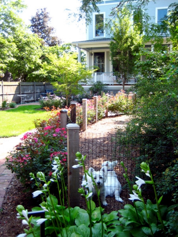 Fun for dogs in the garden - Tips for pet-friendly garden design