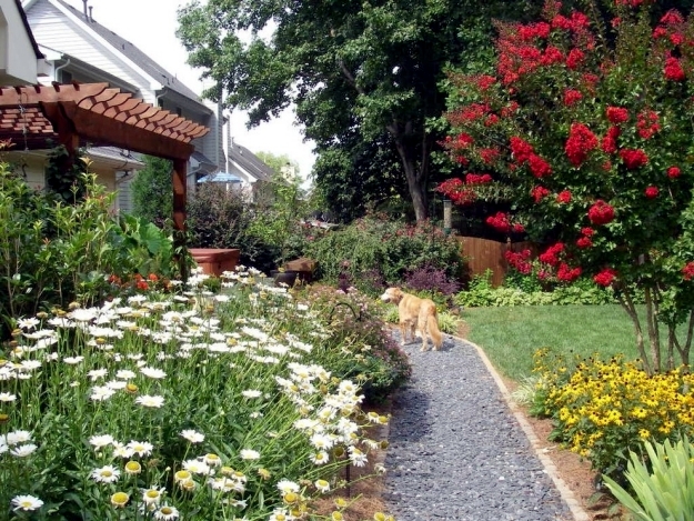 Fun for dogs in the garden - Tips for pet-friendly garden design