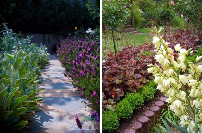 Garden design - edging the garden with flowers and plants