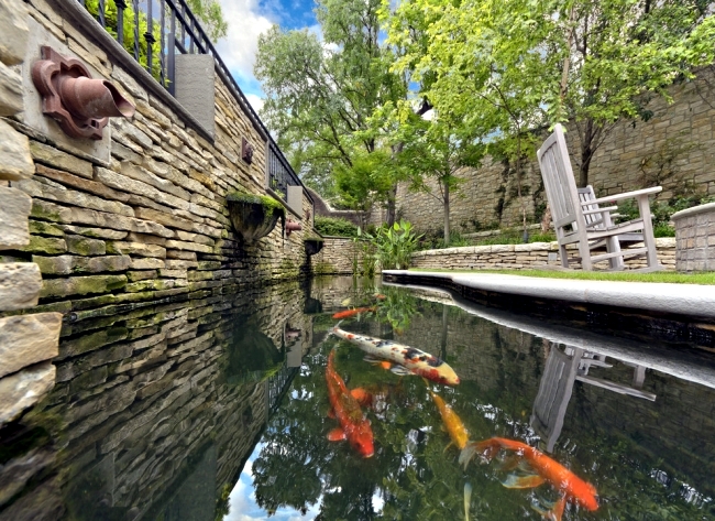 Garden pond