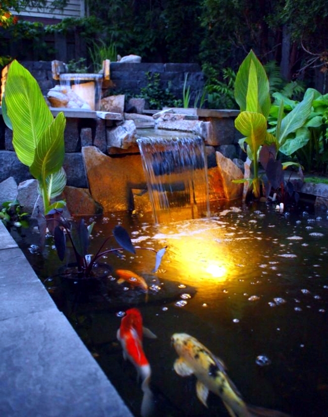 Guide for your perfect Koi pond in various garden styles