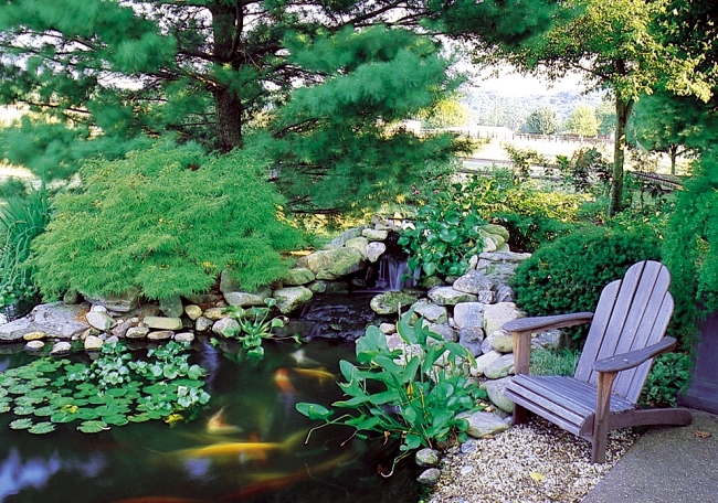 Guide for your perfect Koi pond in various garden styles