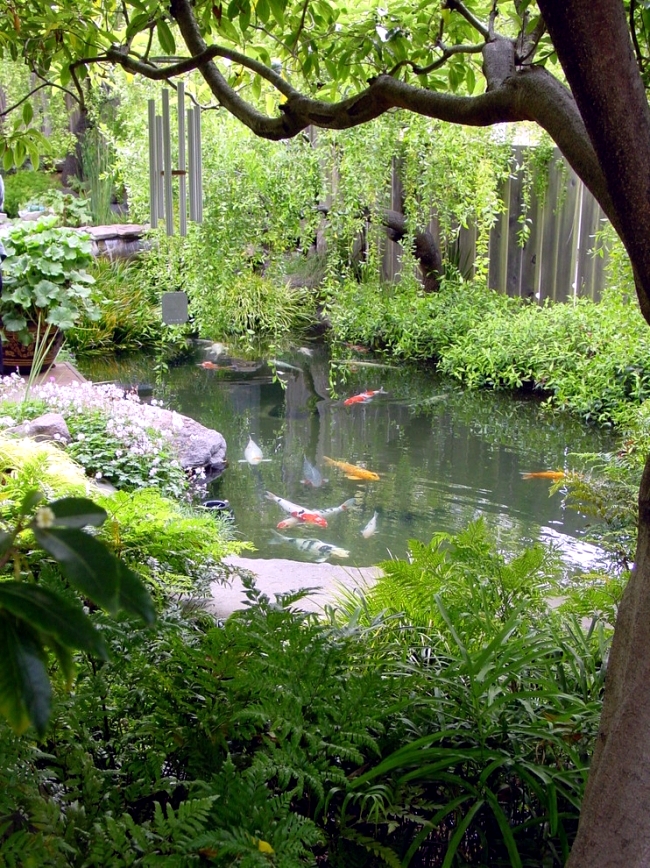 Guide for your perfect Koi pond in various garden styles