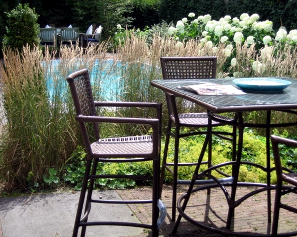 Hardy plants in the garden - design ideas with pampas grass