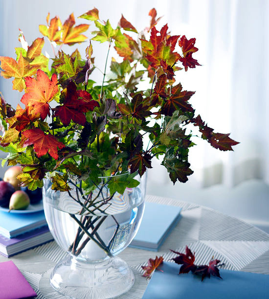 Herbstdeko do it yourself - Decorate with nature's treasures
