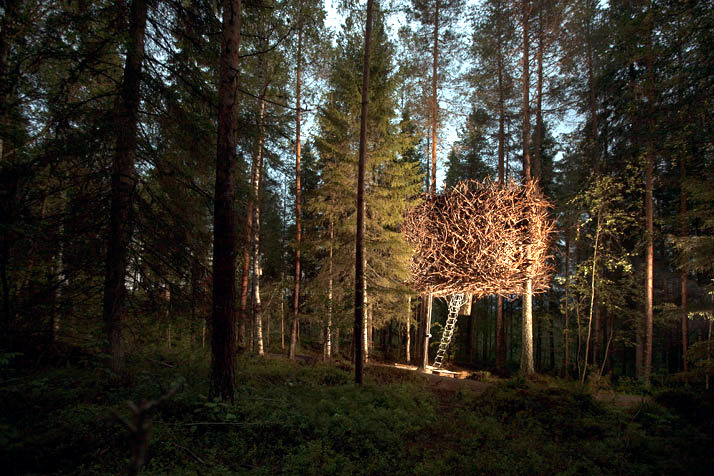 Hotel in trees