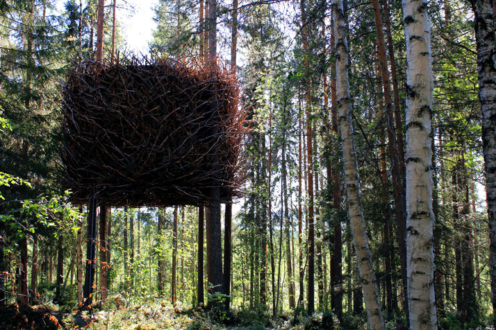 Hotel in trees