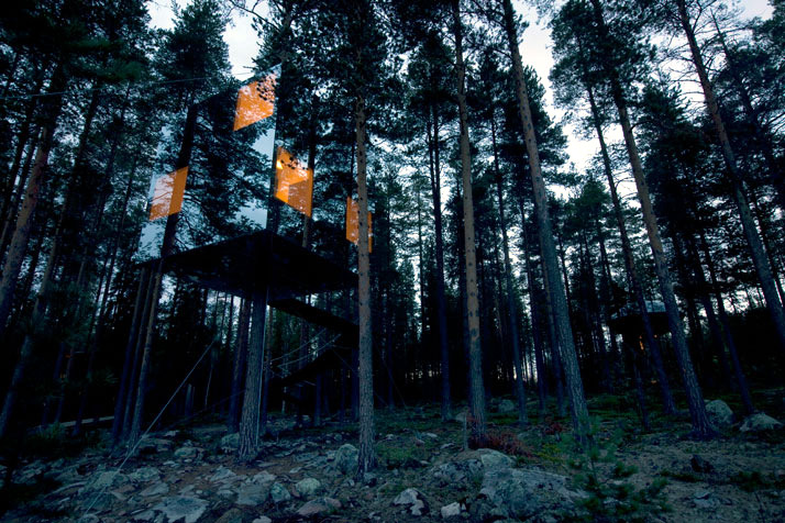 tree hotel tree hotel