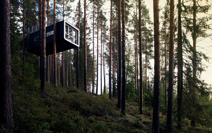 Hotel in trees