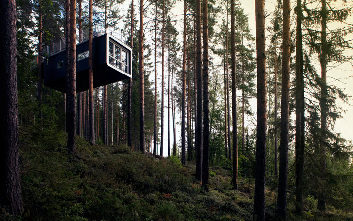 Hotel in trees Hotel in trees