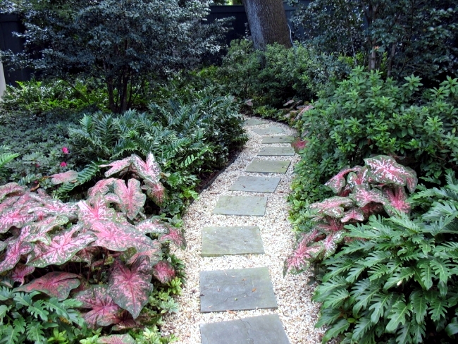 Ideas for individual garden path design - a highlight in the garden