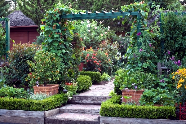 Individual garden design ideas for gardening and landscaping