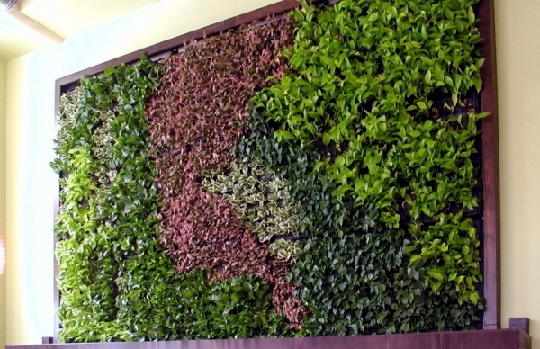 Integrate the Green wall or oranische elements in the architecture