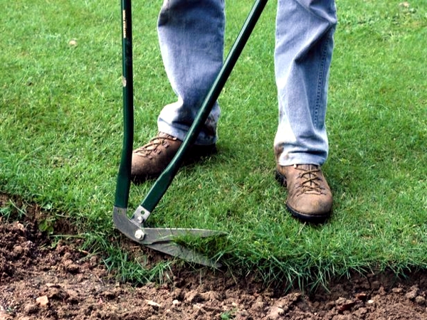 Lawn care in the spring - useful tips for gardeners