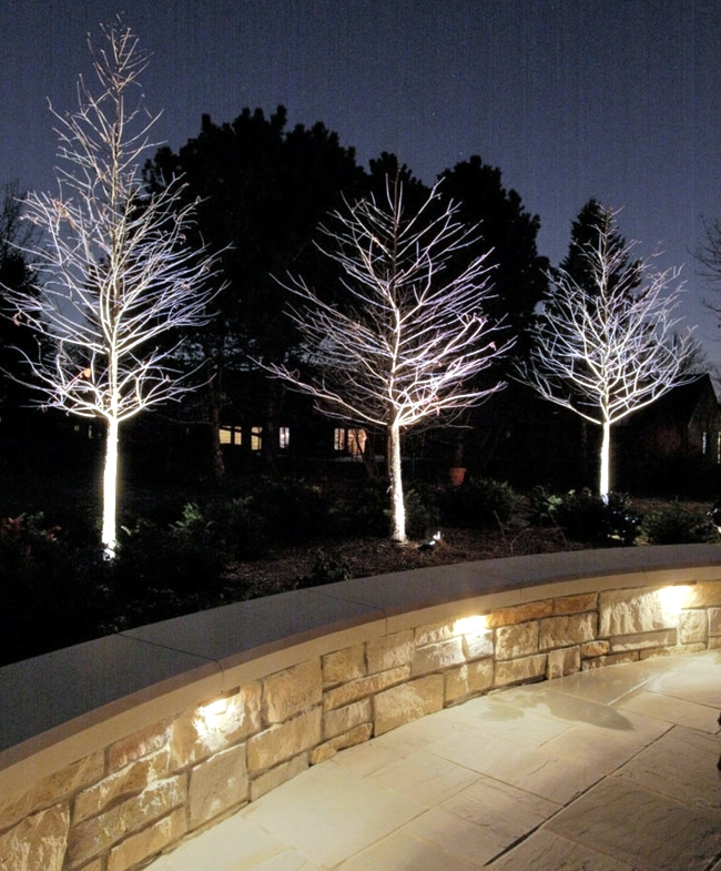 Modern lighting in the garden transformed the outdoor area