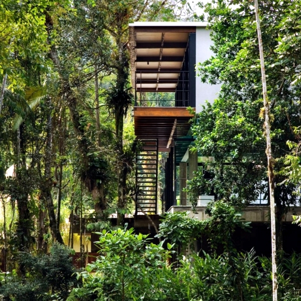 Modern summer house in the Brazilian Forest