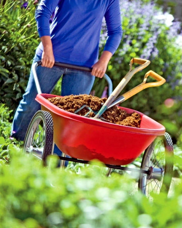 Organic compost from wood build yourself - instructions in easy steps