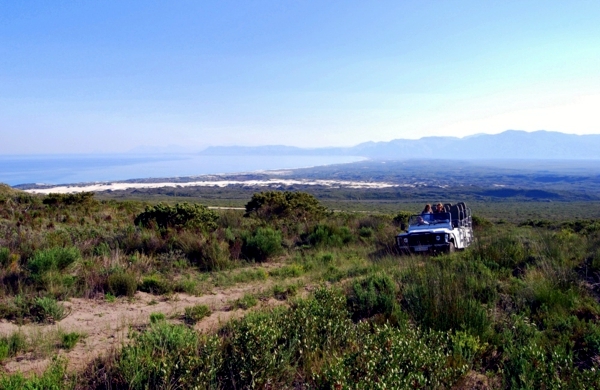 Organize adventure holidays - tips for Safari and Travel in South Africa
