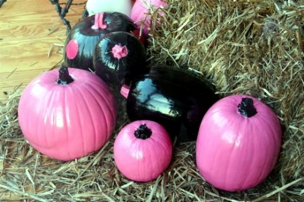Painted halloween pumpkins with unusual but effective color