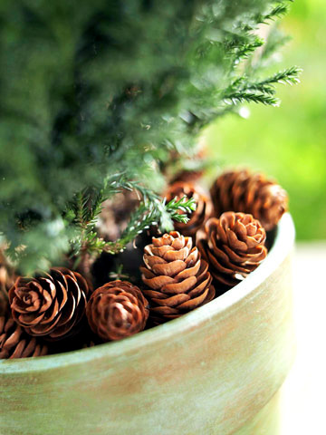 Pine cone decoration craft and decorating the house full of atmosphere