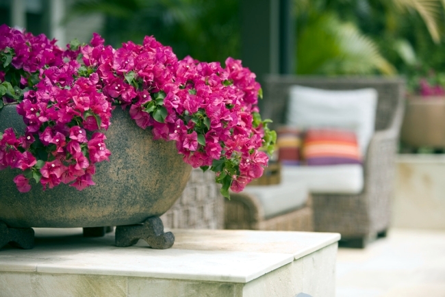 Planters for outdoors - garden design tricks for the impact of