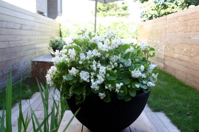 Planters for outdoors - garden design tricks for the impact of