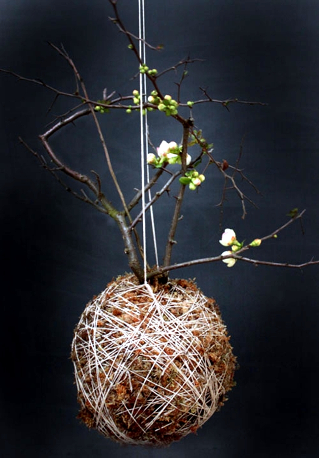 Planters made of moss and thread decorate house and Garden