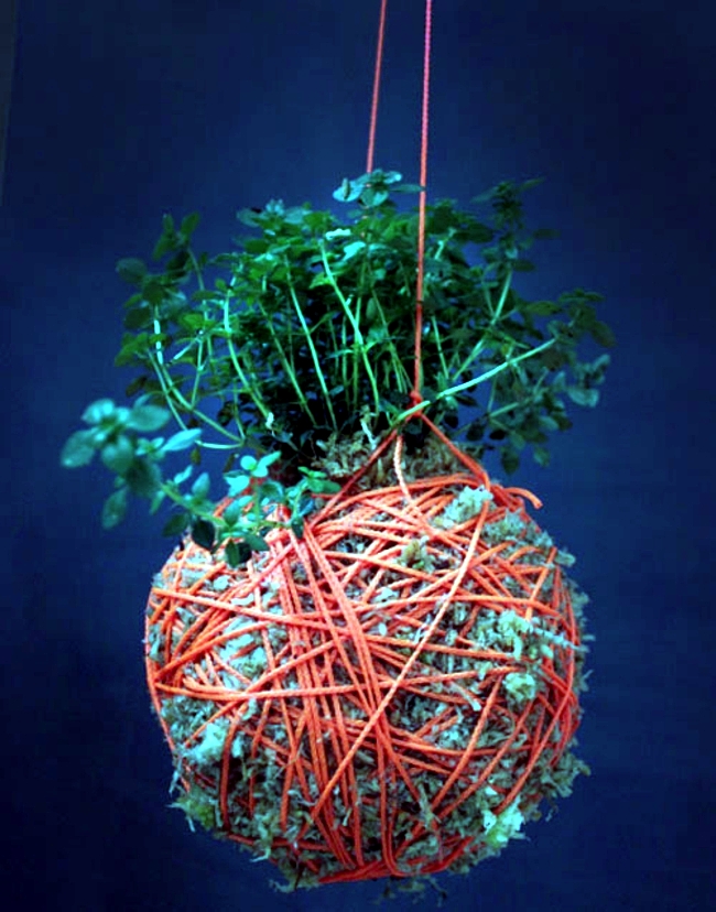 Planters made of moss and thread decorate house and Garden