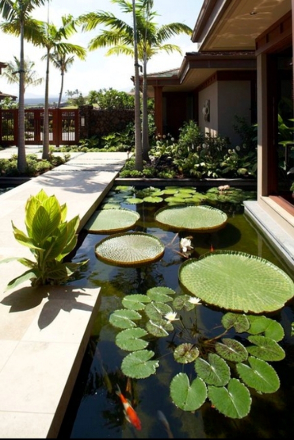 Pond in the backyard using five useful tips to create