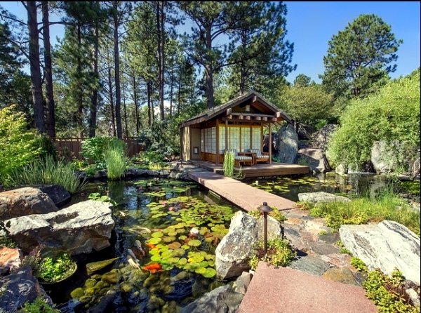 Pond in the backyard using five useful tips to create
