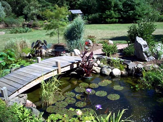 Garden pond