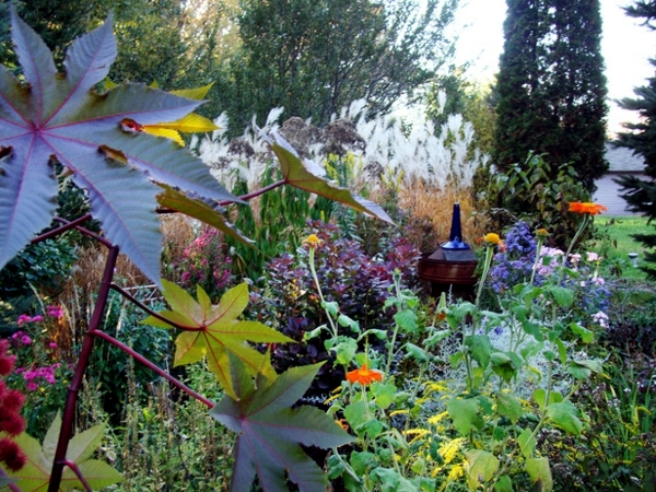 Preparing the garden for winter days - Gardening in autumn