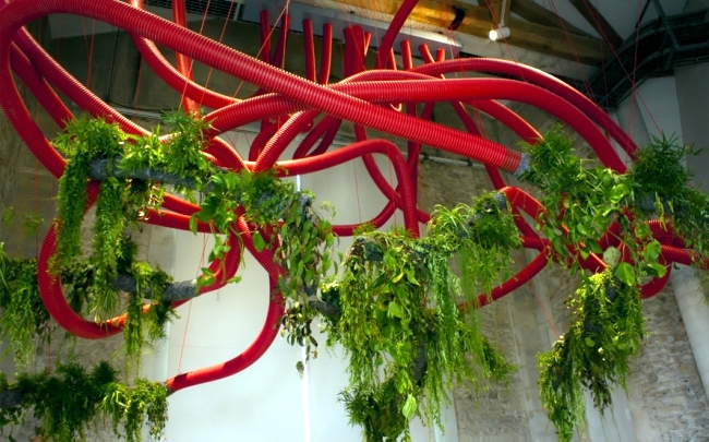 Public art installations with plants of Alexis Tricoire