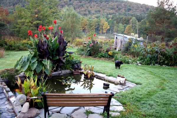 Refresh the garden at home - Ideas for Garden Design