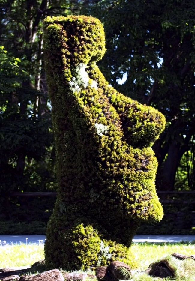 Sustainable Garden Art: Garden fascinating sculptures of plants