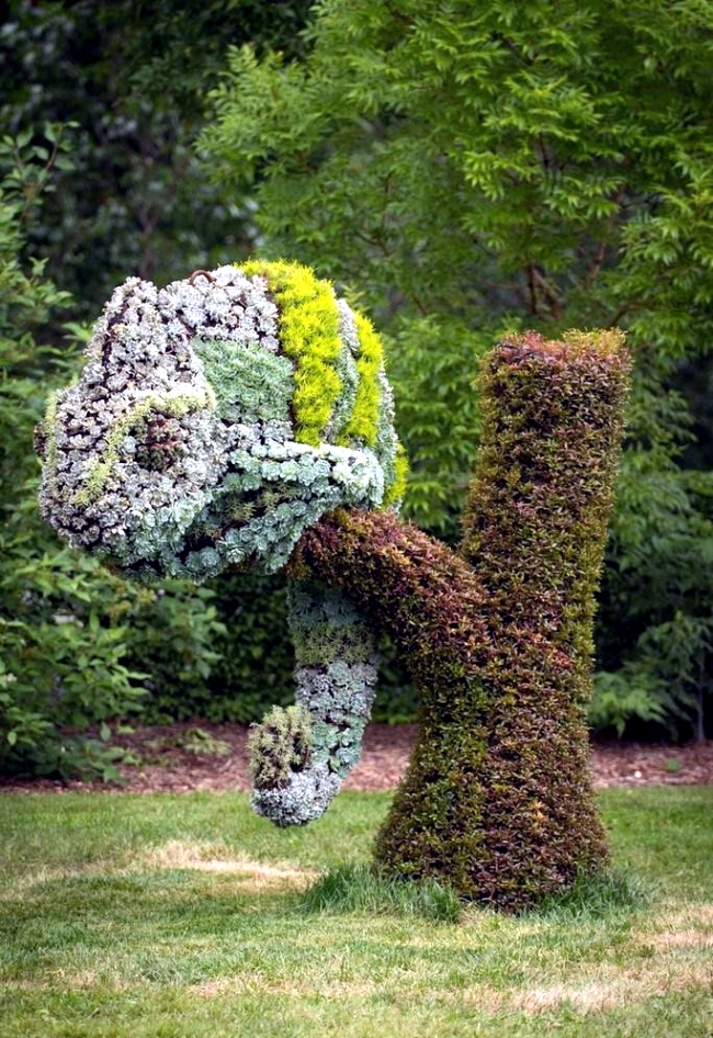 Sustainable Garden Art: Garden fascinating sculptures of plants