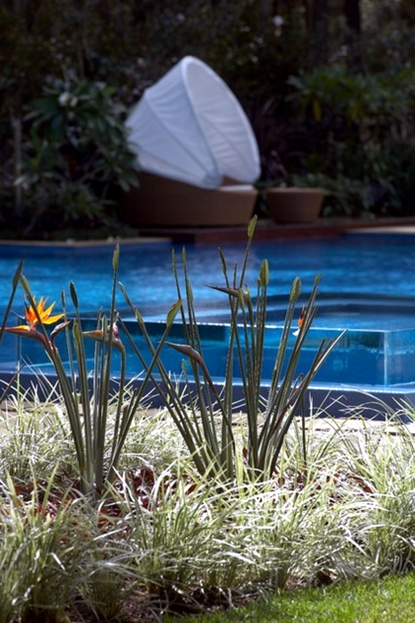 Swimming pool with glass wall creates a relaxed atmosphere in the garden