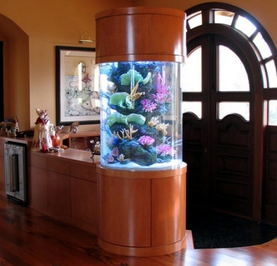The aquarium set up as a decorative element in home interior