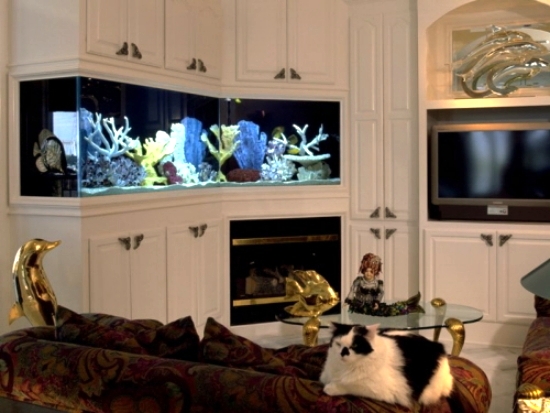 The aquarium set up as a decorative element in home interior