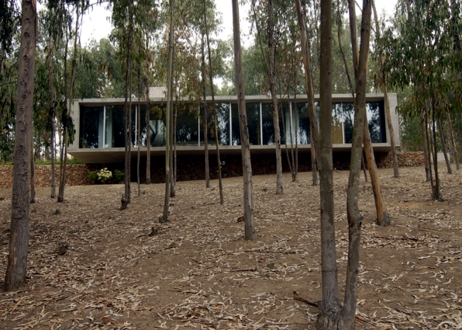 The coach house on a hillside impressed with massive concrete structure